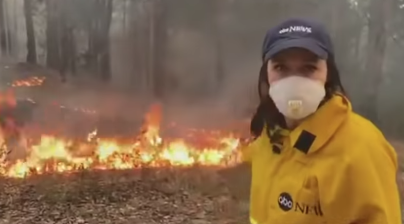 Il servizio dell'Abc sugli incendi in Amazzonia