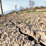 Campi inariditi a causa della siccità