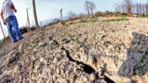 Campi inariditi a causa della siccità
