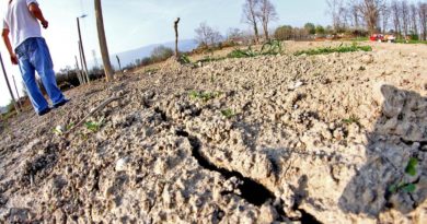 Campi inariditi a causa della siccità