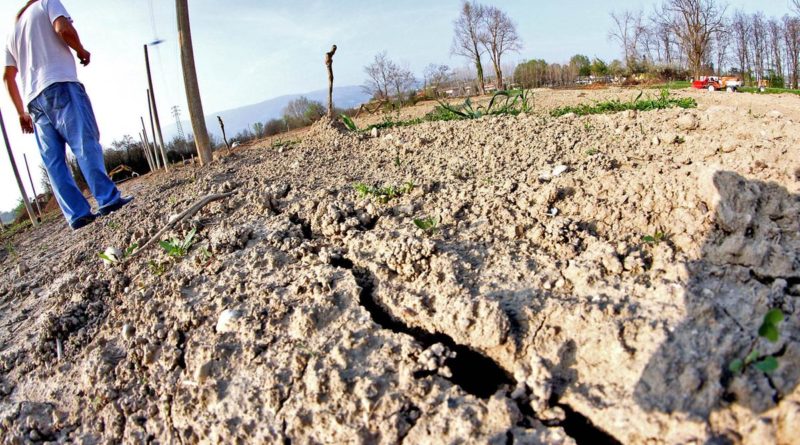 Campi inariditi a causa della siccità