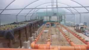 Esempio di un sistema di acquaponica