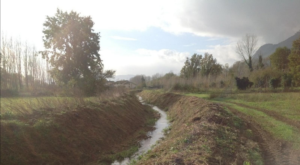 Il corso del fosso Nocione nella zona di Cassino, un piccolo corso d'acqua nella campagna, con un albero sulla sinistra