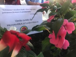 I rappresentanti di Primavera studentesca riqualificano l'aiuola di via Zamosch