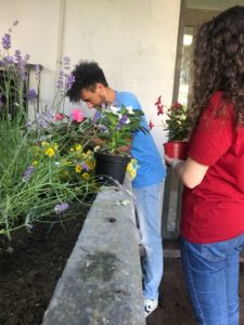 I rappresentanti di Primavera studentesca riqualificano l'aiuola di via Zamosch