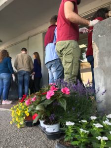 I rappresentanti di Primavera studentesca riqualificano l'aiuola di via Zamosch