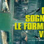 La locandina del film "Dove sognano le formiche verdi"