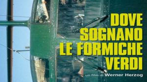 La locandina del film "Dove sognano le formiche verdi"