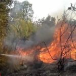 Un volontario interviene sul luogo di un incendio boschivo