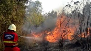 Un volontario interviene sul luogo di un incendio boschivo
