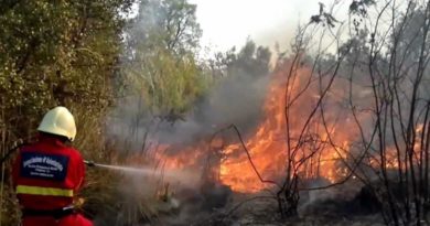Un volontario interviene sul luogo di un incendio boschivo