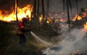 Prevenire gli incendi è l'unica maniera per salvare i nostri boschi