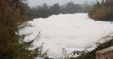La schiuma sul fiume Sacco