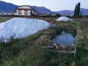 Le fosse ricolme di rifiuti e acqua si trovano a pochi metri da alcune abitazioni (Foto: Cassinogreen, dicembre 2018)