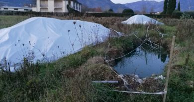 Le fosse ricolme di rifiuti e acqua si trovano a pochi metri da alcune abitazioni (Foto: Cassinogreen, dicembre 2018)