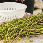 L’asparago, il diuretico dei ciociari