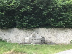 Un fontanile in una delle zone riconquistate dalla natura a Fossa Maiura