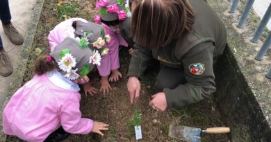 I bambini di Posta Fibreno (Fr) impegnati nella piantumazione durante la Festa dell'albero