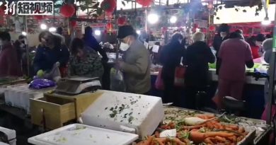 Alcuni cittadini fanno la spesa in un mercato di Wuhan (Fonte- Wikipedia)