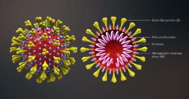 Immagini di Coronavirus estrapolate da un'animazione medica 3D, raffigurante la forma del coronavirus e la sezione trasversale