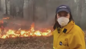Il servizio dell'Abc sugli incendi in Amazzonia