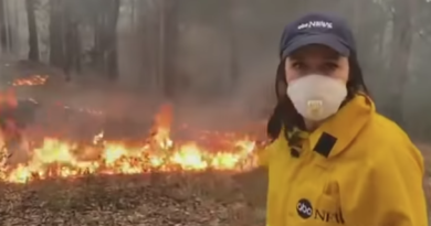 Il servizio dell'Abc sugli incendi in Amazzonia