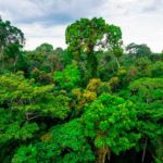 Cosa succede nel resto del mondo?