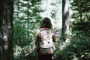 Estate fra i boschi: rispettiamo la natura