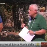 Cassinogreen in diretta