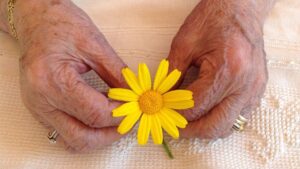 Un fiore giallo tra le mani di un'anziana