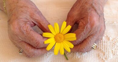 Un fiore giallo tra le mani di un'anziana