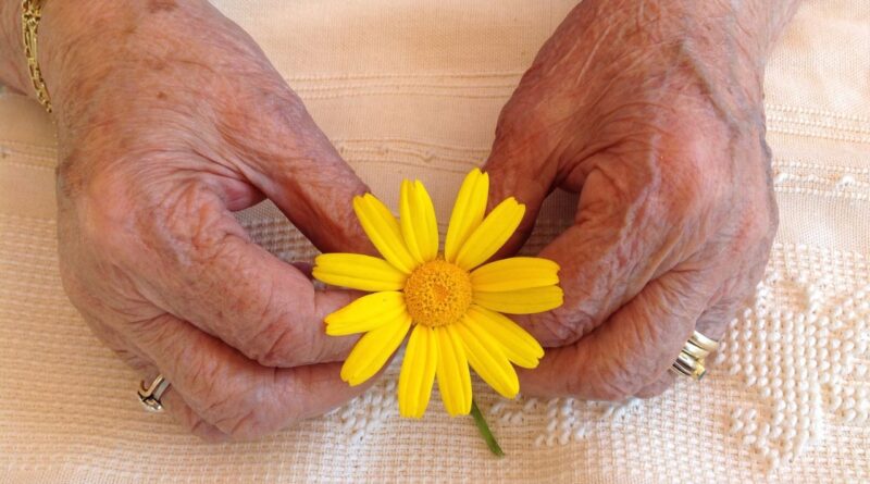 Un fiore giallo tra le mani di un'anziana