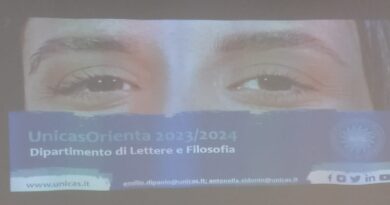 Rappresentazione grafica dell'evento di orientamento organizzato da Unicas