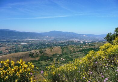 La mancata bonifica della Valle del Sacco e della discarica in via Le Lame: un ritardo che pesa La mancata bonifica della Valle del Sacco e della discarica in via Le Lame: un ritardo che pesa